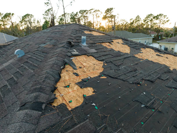 Best Green or Eco-Friendly Roofing Solutions  in Jones Creek, TX